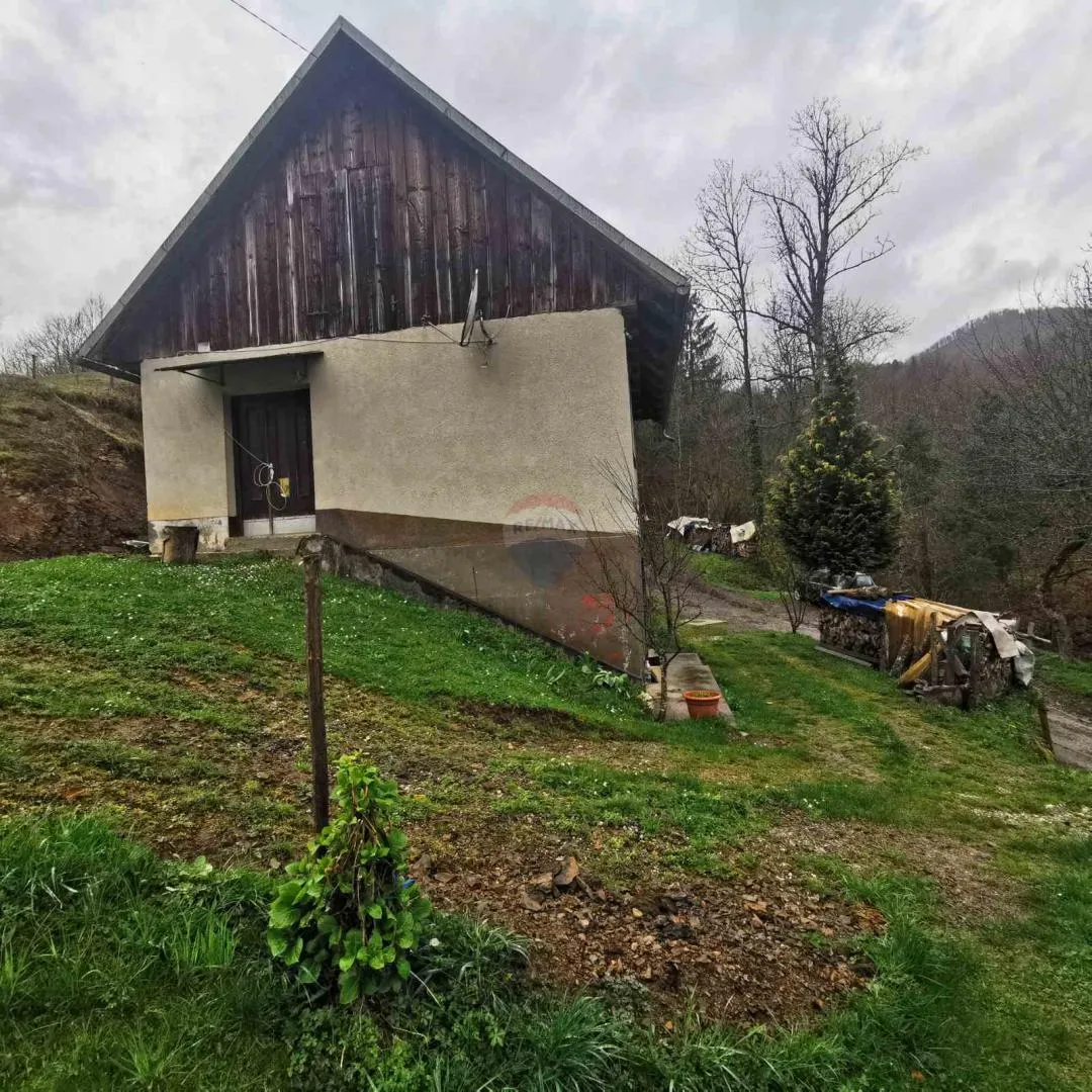 Fotografija