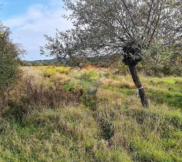 Poljoprivredno zemljište u blizini Grožnjana - cover