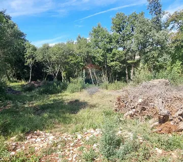 Istra, Šegotići građevinsko zemljište 1640m2 - cover