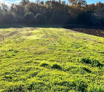 Istra,okolica Buja ,Čepljani,građevinska parcela - cover