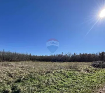 Istra, Kaštelir, poljoprivredno zemljište 8929 m2 - cover