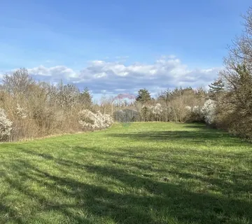 Pazin - okolica, građevinsko zemljište u uređenom naselju - cover