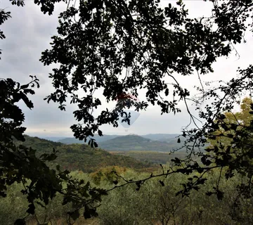 Istra, Oprtalj, imanje s otvorenim pogledom - cover