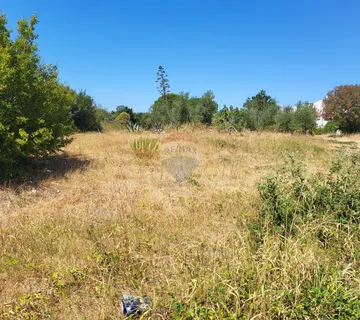 Istra, Barbariga, građevinsko zemljište sa pogledom na more - cover