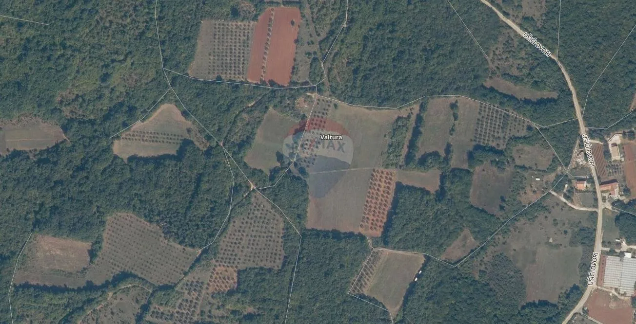 ISTRA, VALTURA, poljoprivredno zemljište / šuma 1ha - cover