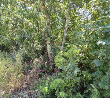 Istra,Umag,poljoprivredno zemljište - cover