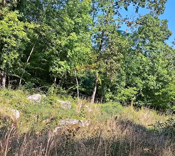 Matulji,Veprinac - Vedež,šumsko zemljište - cover