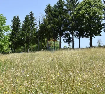 Gorski Kotar - Moravice  ( građevinski teren) - cover