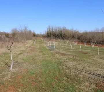 Istra, Vižinada- Građevinsko i poljoprivredno zemljište - cover