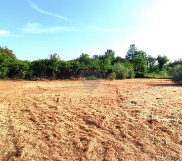 Istra,okolica Babića,poljoprivredna zemljišta - cover