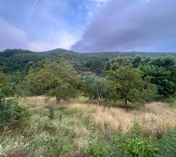 Istra, Cunjci - građeinski teren i ruševna kuća u nizu sa imanjem  - cover