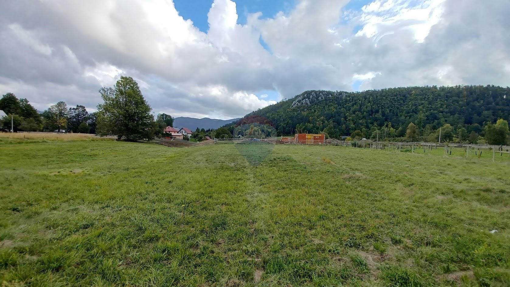 Fotografija