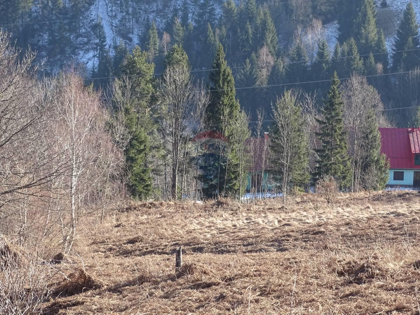 Fotografija