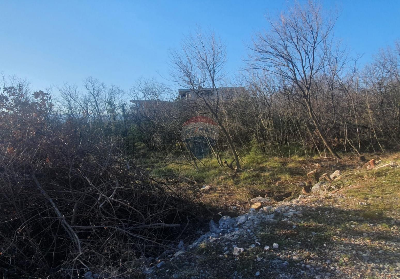 Fotografija