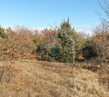 Istra, Juršići - poljoprivredno zemljište 19770 m2 - cover