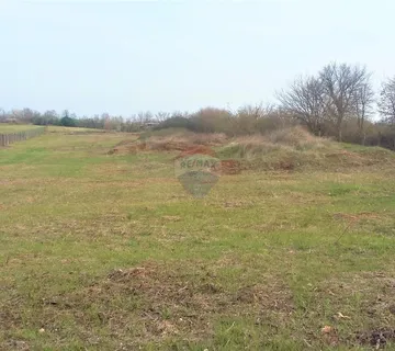 Brtonigla - Nova Vas, atraktivno poljoprivredno zemljište - cover