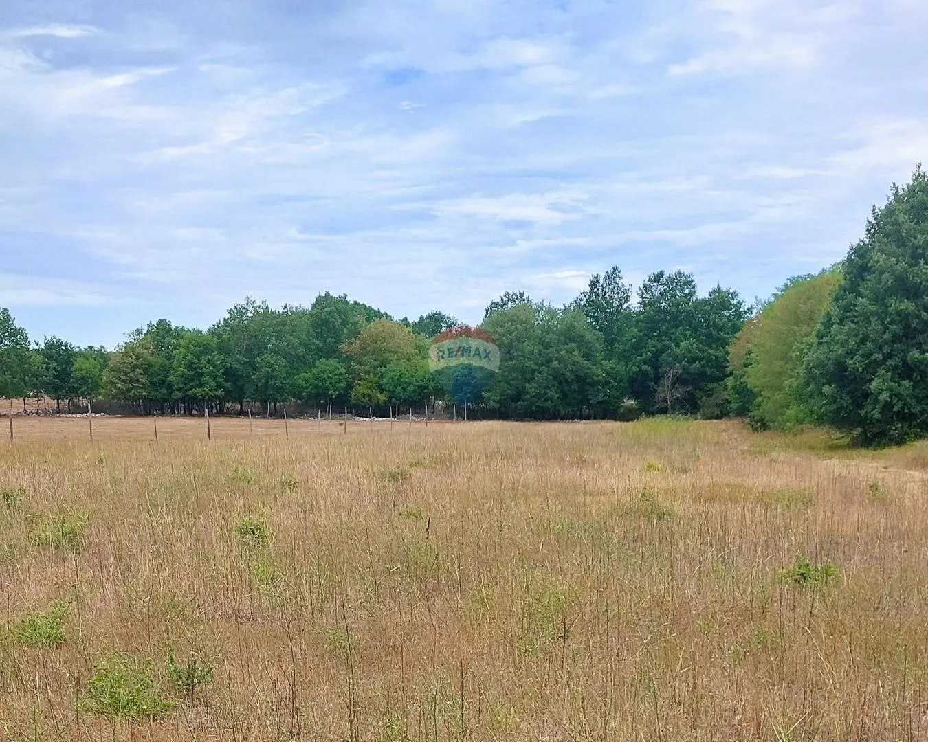 Poreč, okolica, lijepo poljoprivredno zemljište veličine 4815 m2 uz javni put - cover