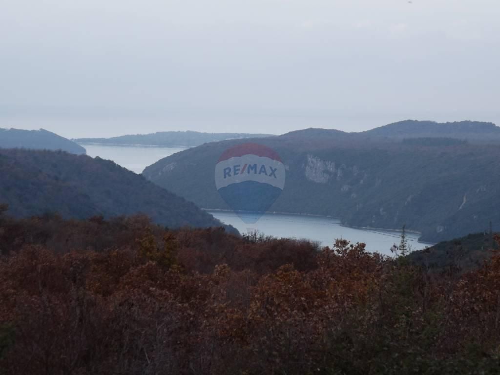 Fotografija