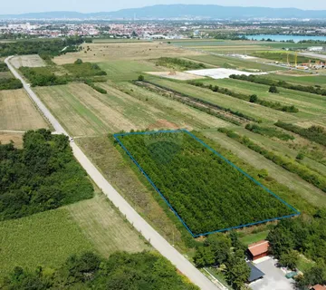 Velika Gorica, Vukovina, poljoprivredno zemljište s plantažnim nasadom crnog oraha - cover
