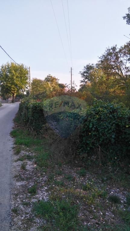 Fotografija