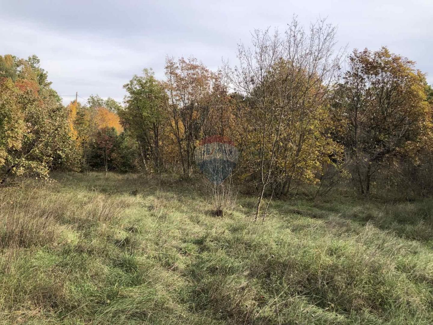 Fotografija