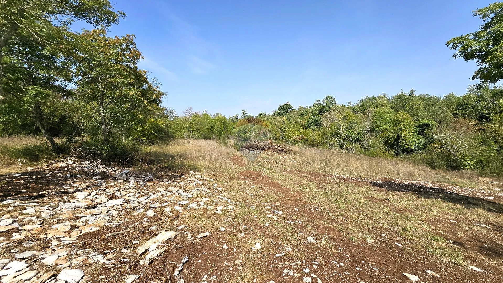 Istra, Buje okolica, negrađevinsko zemljište 16 170 m2 - cover