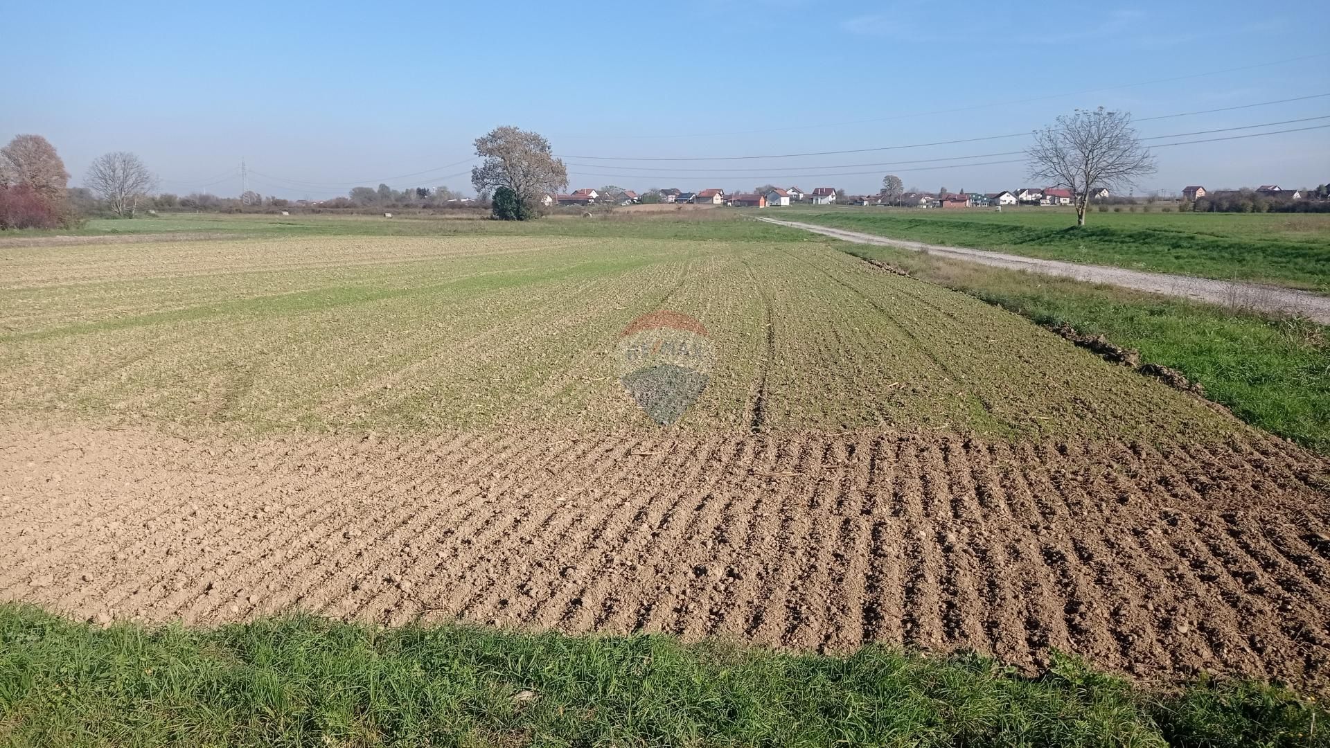 Fotografija