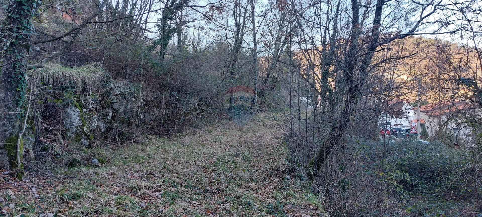 Fotografija