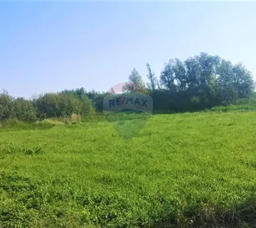 Istra,Buje okolica-Veliko negrađevinsko zemljište  - cover