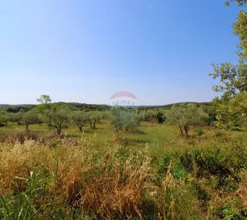 Rovinj,maslinik sa pogledom na more,5km od centra - cover