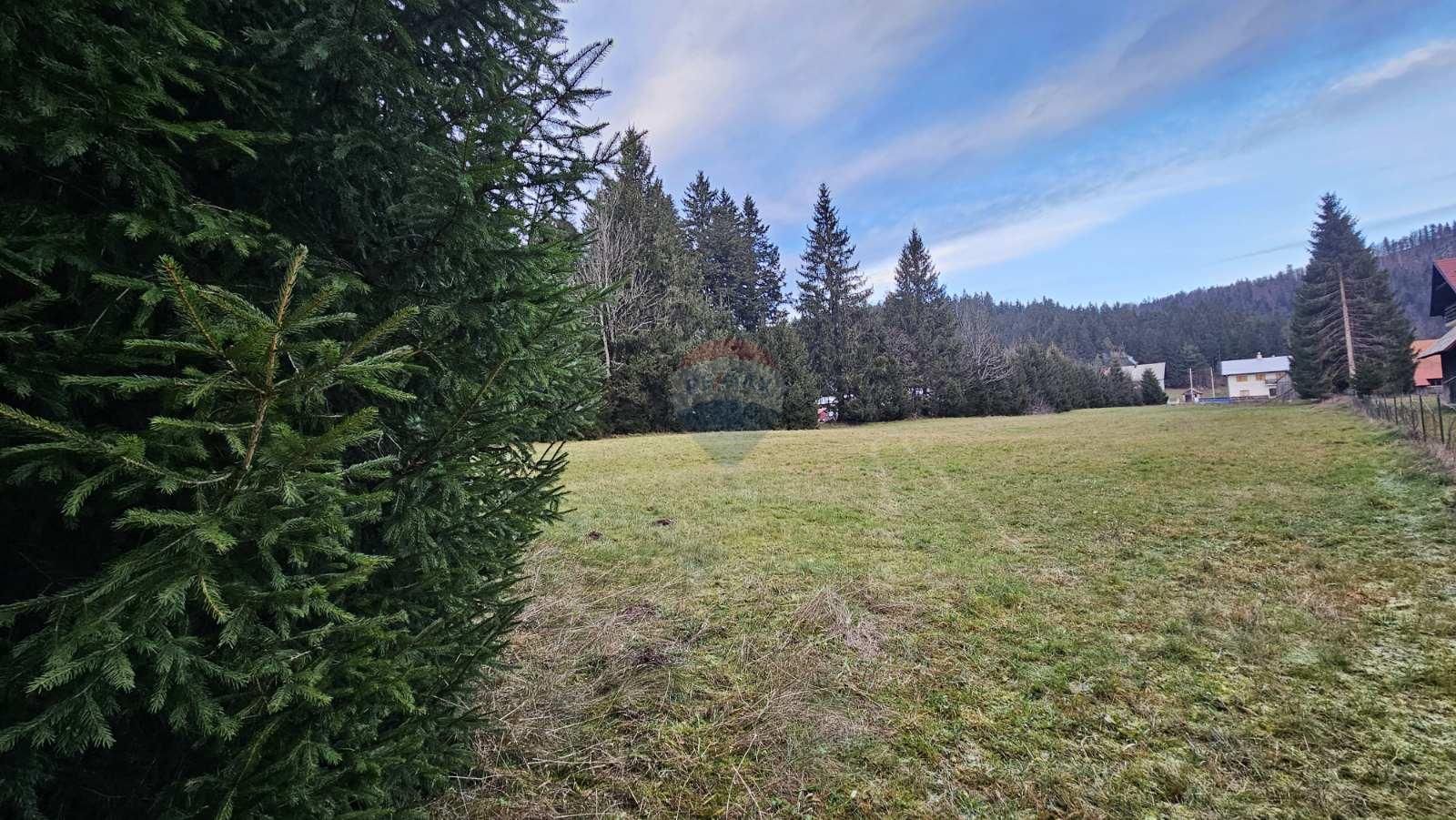 Fotografija