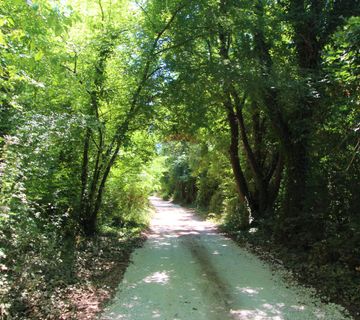Istra, Funtana - Negrađevinsko zemljište 11448 m2 - cover