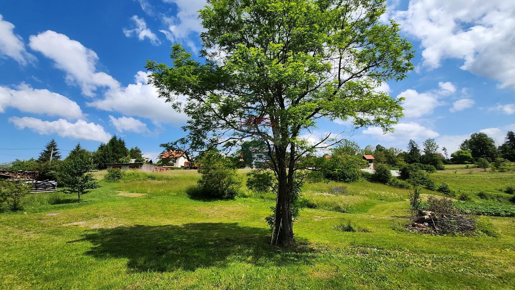 Fotografija