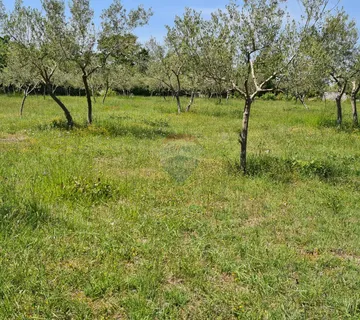 Bale , poljoprivredno zemljište površine 13.128 m2 - cover