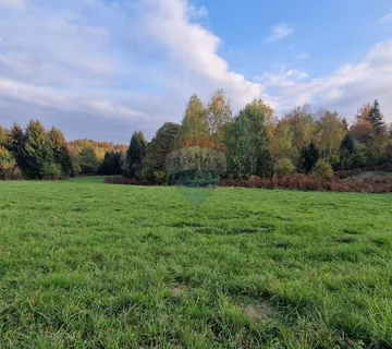 Gorski Kotar-Vrbovsko/poljoprivredni teren 5.200 m2 - cover