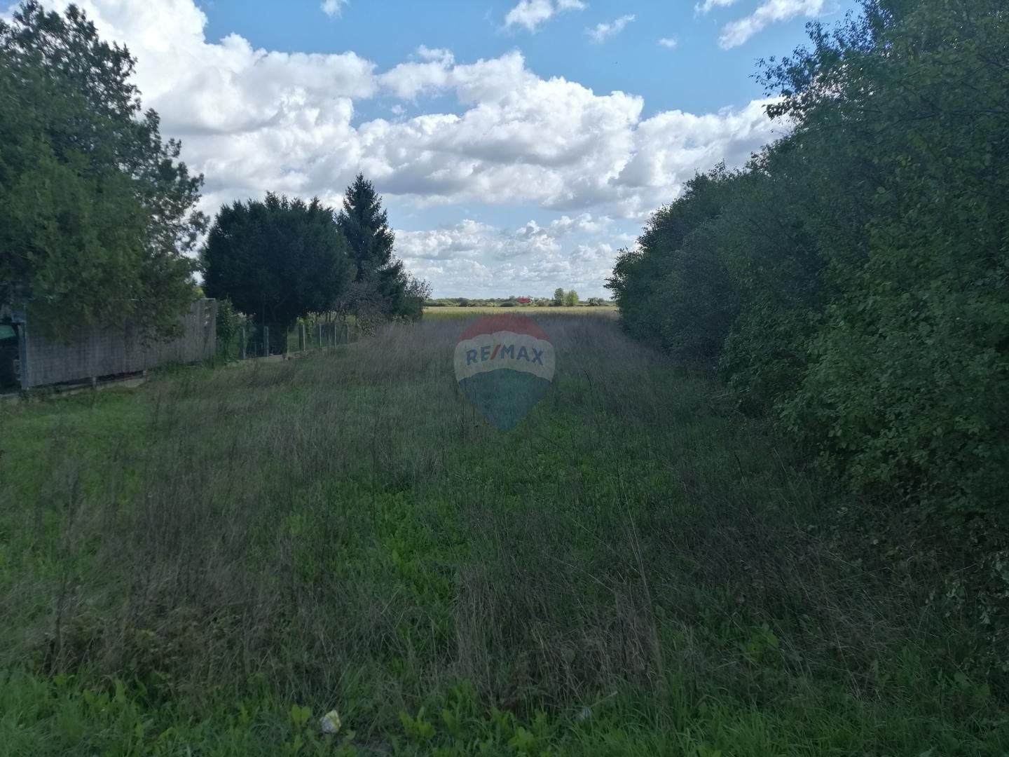 Fotografija