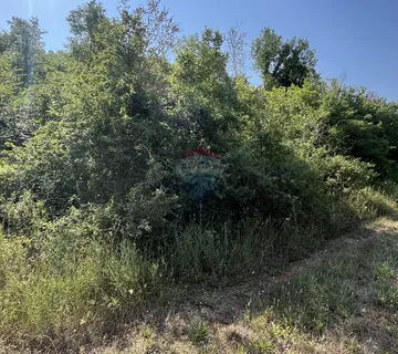 Istra, Vrsar - okolica - poljoprivredno zemljište s ucrtanim putem - cover