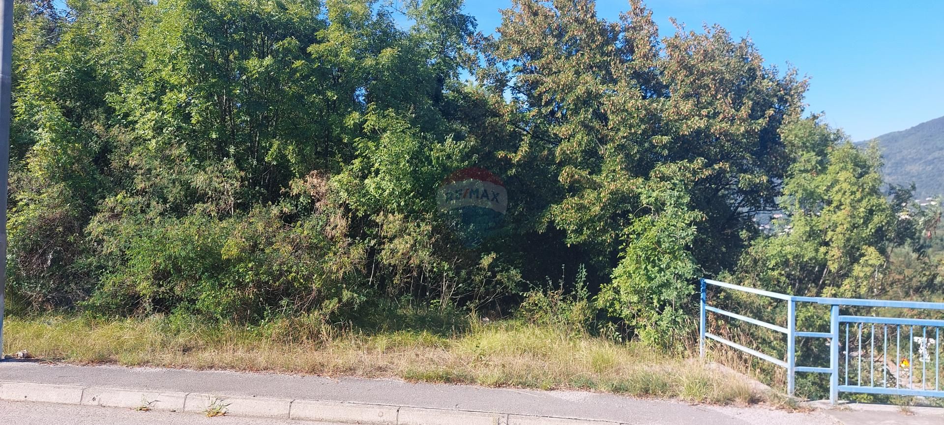 Fotografija