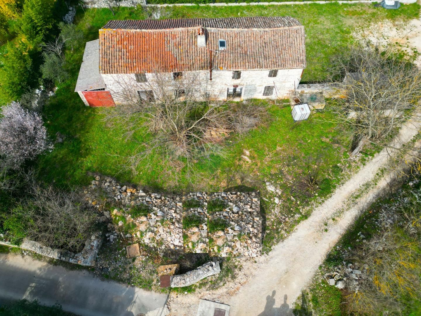 Fotografija
