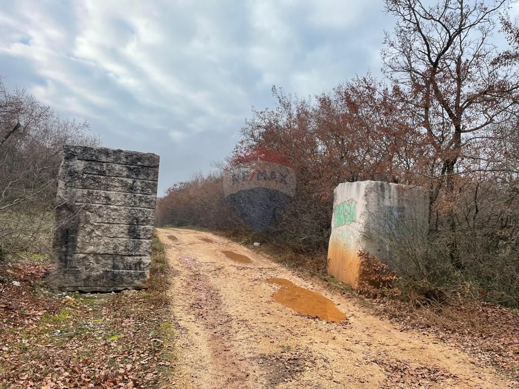 Fotografija
