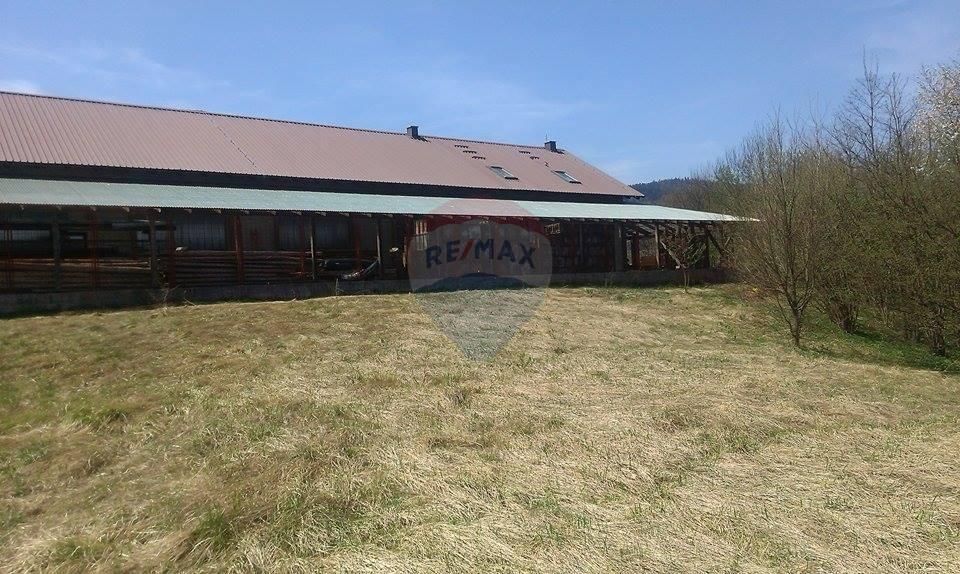 Fotografija