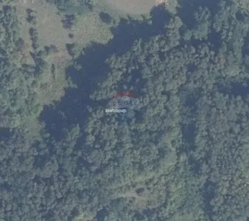 Istra, Karojba okolica, šuma 2644 m2 - cover