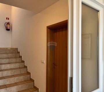 Istra, Novigrad- dvosobni stan u prizemlju sa vrtom i bazenom - cover