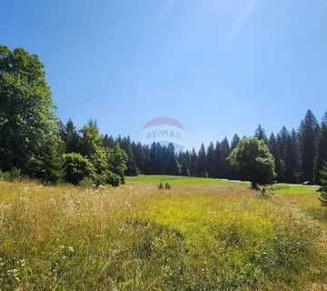 Sunger - negrađevinski teren među smrekama - cover