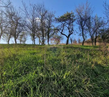 Gorski Kotar-Vrbovsko/građevinski teren - cover