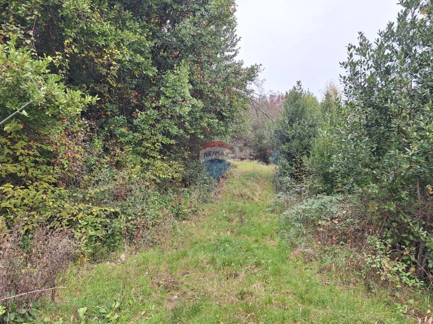 Opatija, Pobri - građevinsko zemljište 800 m2 - cover