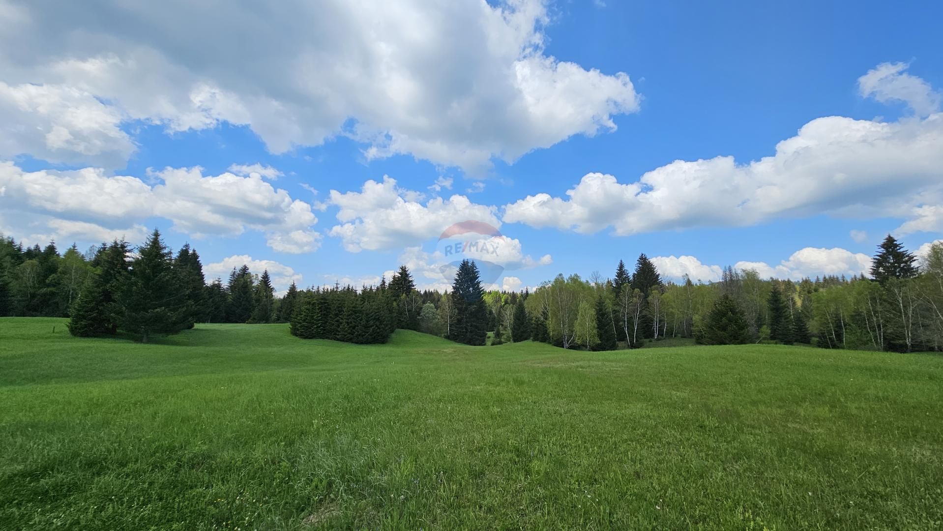 Fotografija