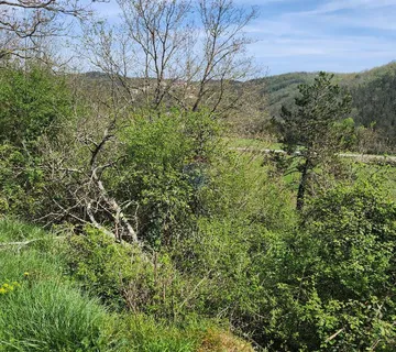 Istra, Podberam - građevinski teren, cjena nije fiksna - cover