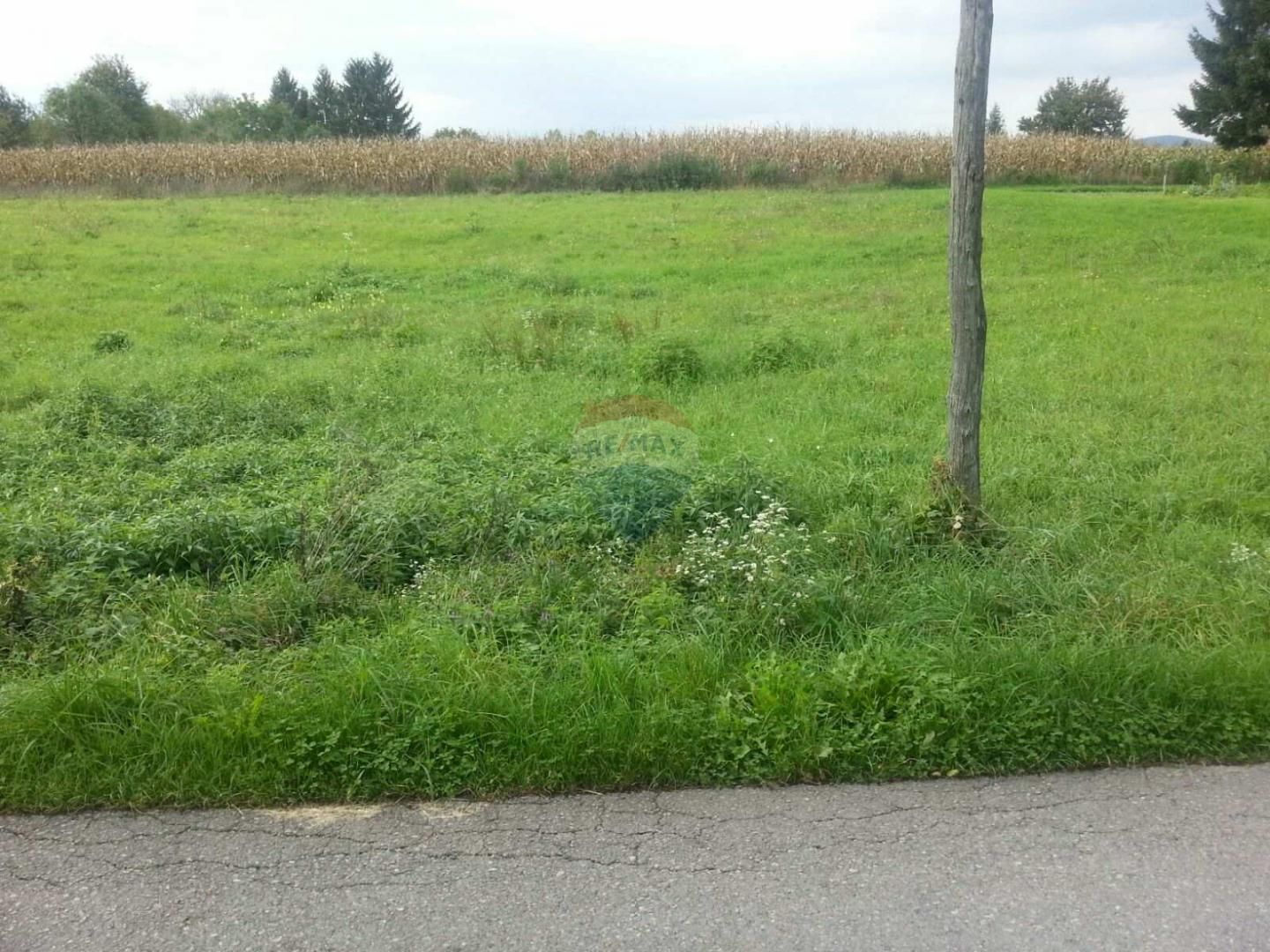 Fotografija