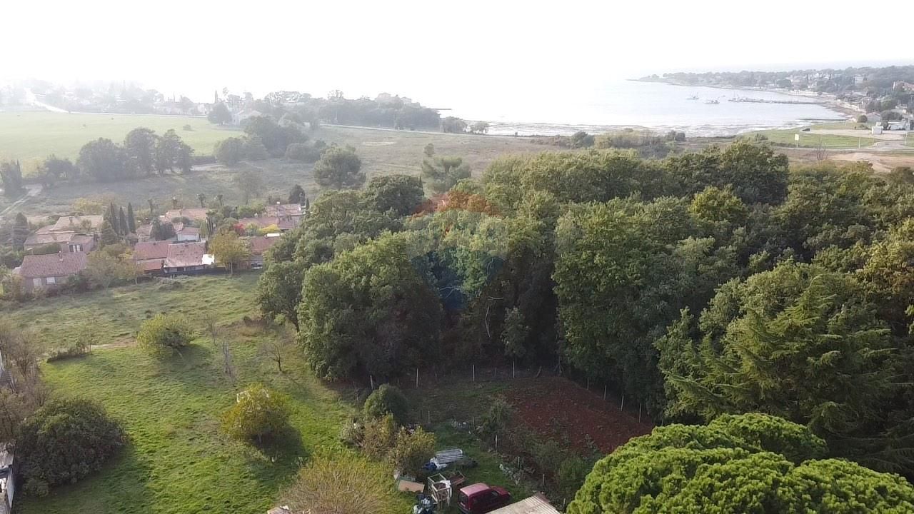 Fotografija